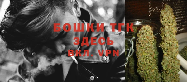 шишки Володарск