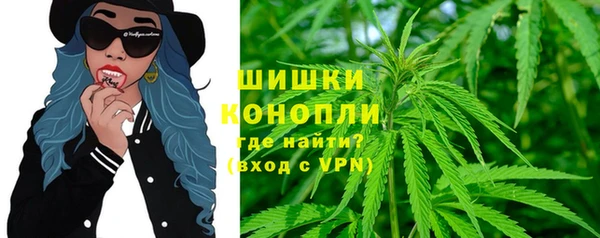 шишки Покачи