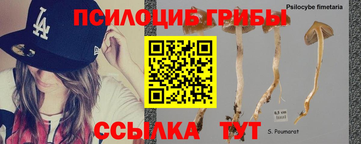 Железногорск  Галлюциногенные грибы мухоморы  Галлюциногенные грибы GOLDEN TEACHER  Вход с VPN 